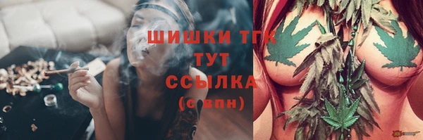 ГАЛЛЮЦИНОГЕННЫЕ ГРИБЫ Горно-Алтайск
