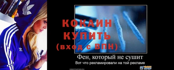 ГАЛЛЮЦИНОГЕННЫЕ ГРИБЫ Горно-Алтайск