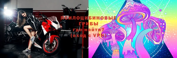ГАЛЛЮЦИНОГЕННЫЕ ГРИБЫ Горно-Алтайск