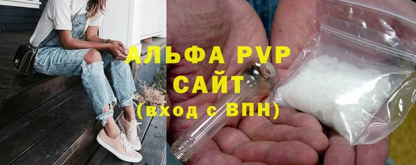 ГАЛЛЮЦИНОГЕННЫЕ ГРИБЫ Горно-Алтайск