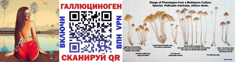 Псилоцибиновые грибы Psilocybe цены наркотик ссылка на мегу ТОР Назрань